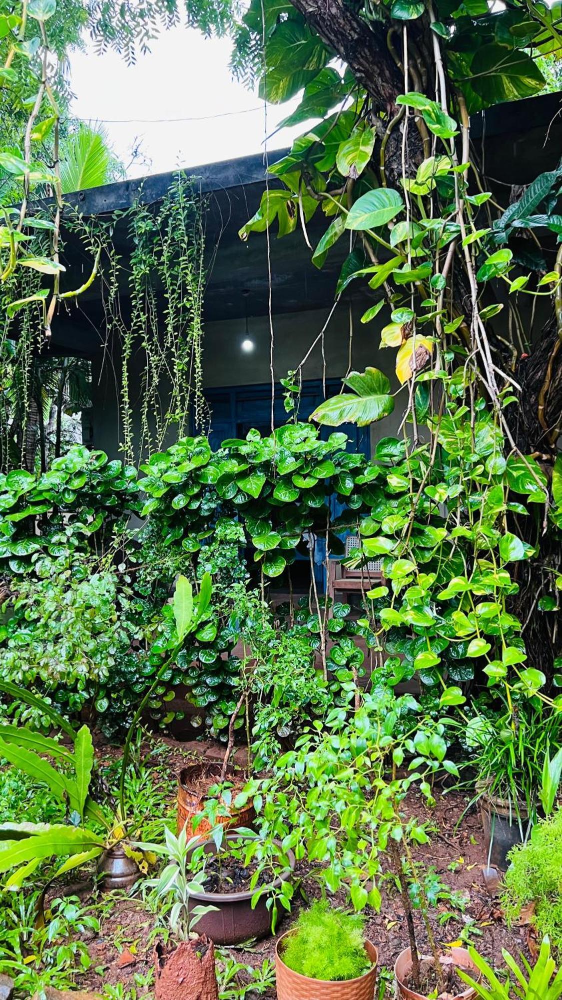 Kataragama Homestay Exterior foto