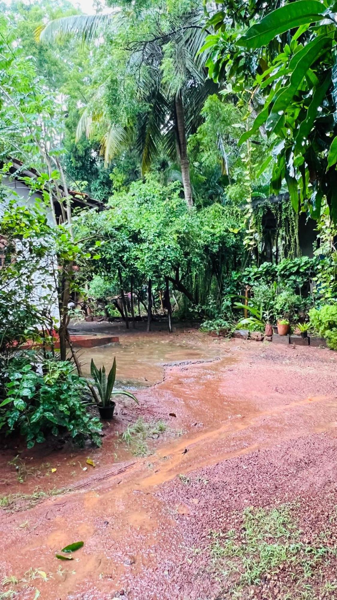 Kataragama Homestay Exterior foto