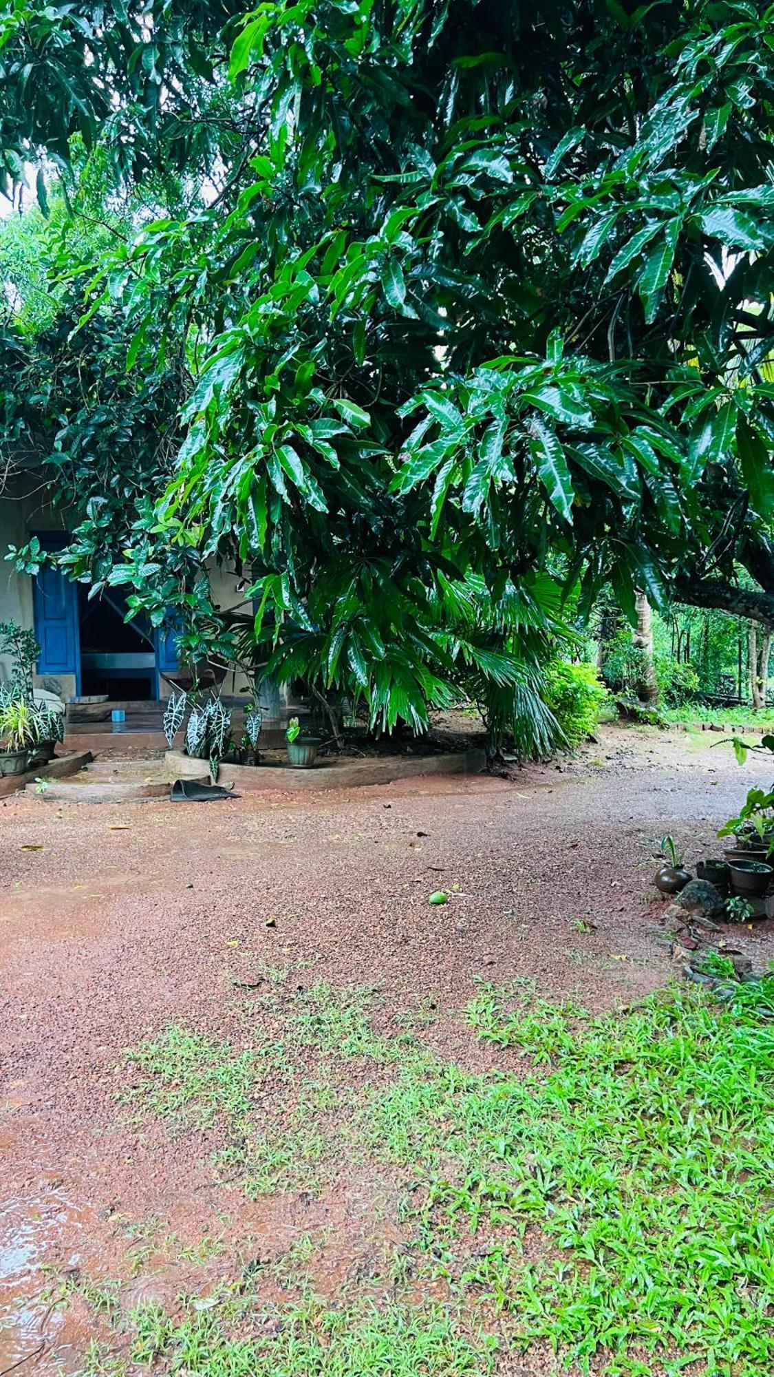 Kataragama Homestay Exterior foto