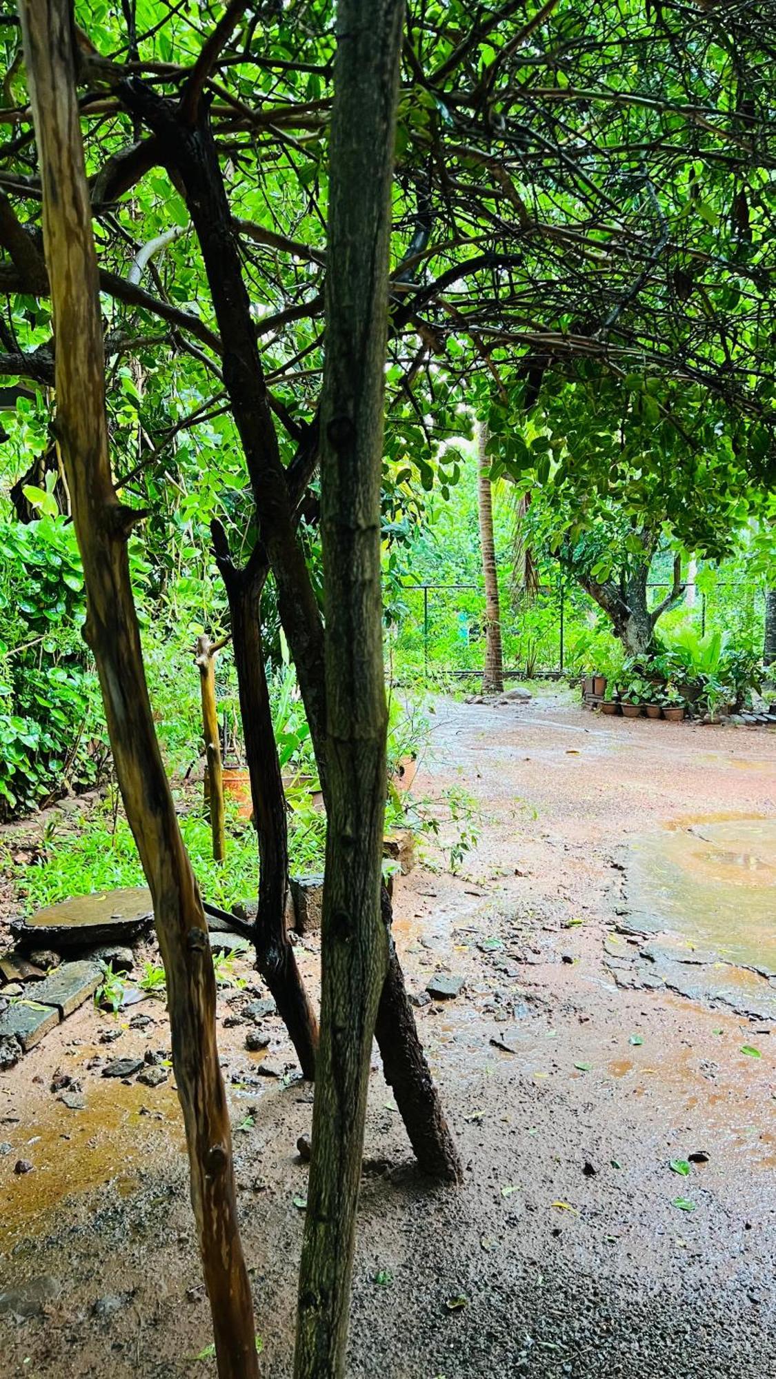 Kataragama Homestay Exterior foto